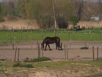 Kalkense Meersen (België)